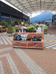 野菜